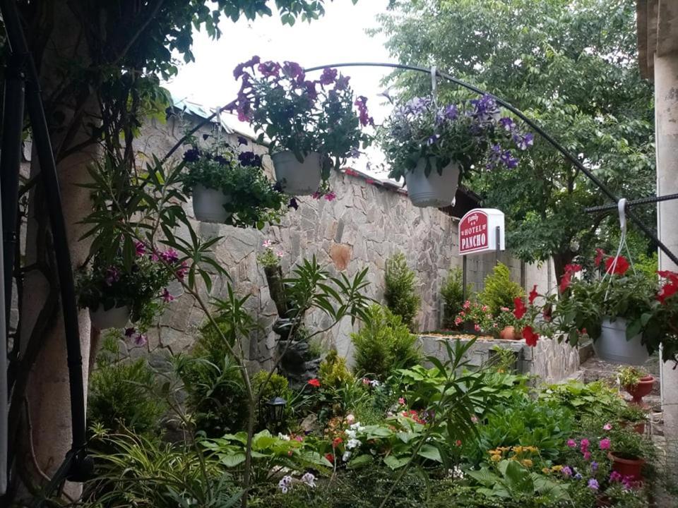 Pancho Family Hotel Kranevo Εξωτερικό φωτογραφία